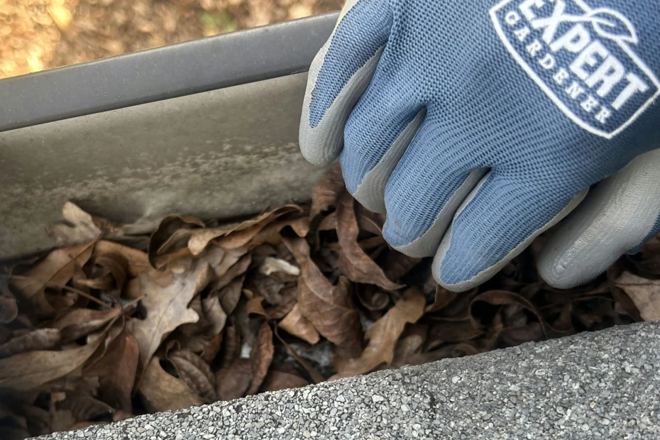 Lake Grove Gutter Cleaning
