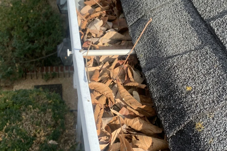 Lake Grove Gutter Cleaning