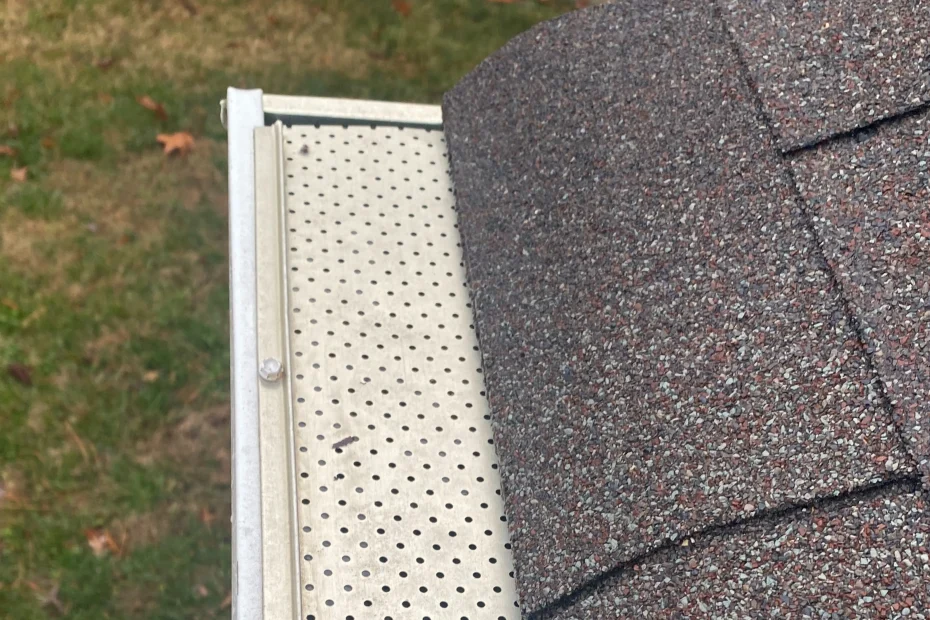 Lake Grove Gutter Cleaning